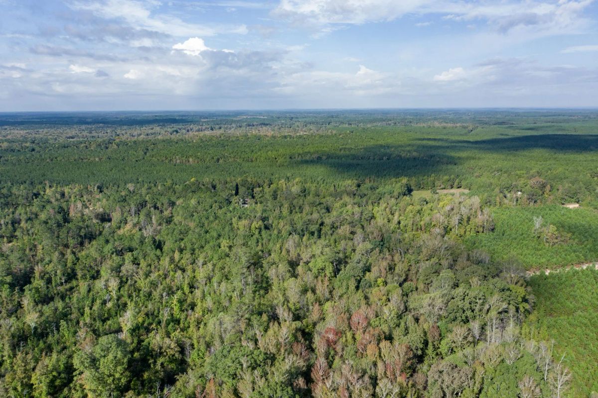 Decorative background for Brentwood Tract 11 image 6