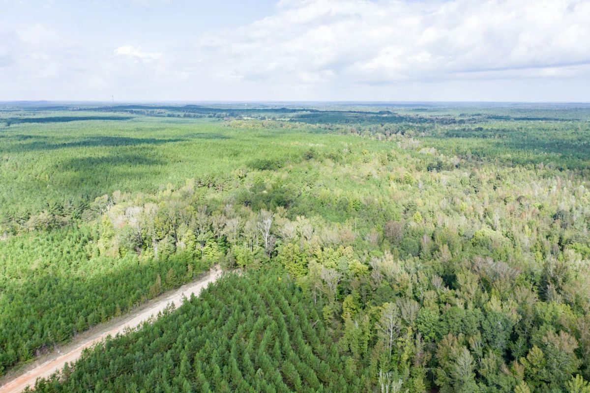 Decorative background for Brentwood Tract 11 image 7