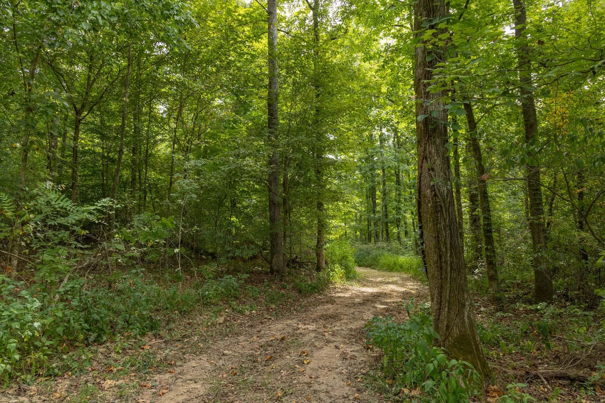 Big White Oak Tract 116 in Perry County, TN