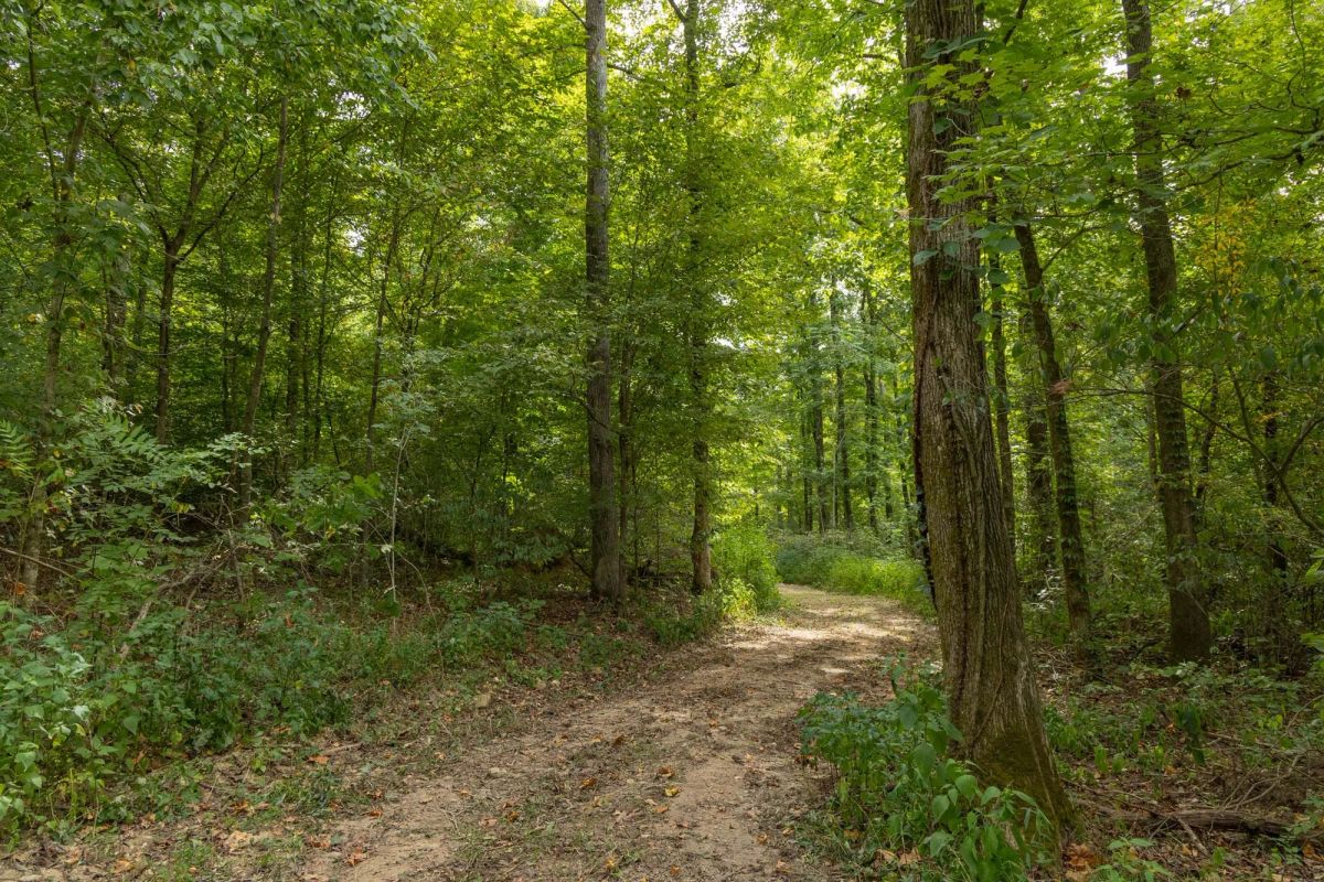 Big White Oak Tract 116 - Main image
