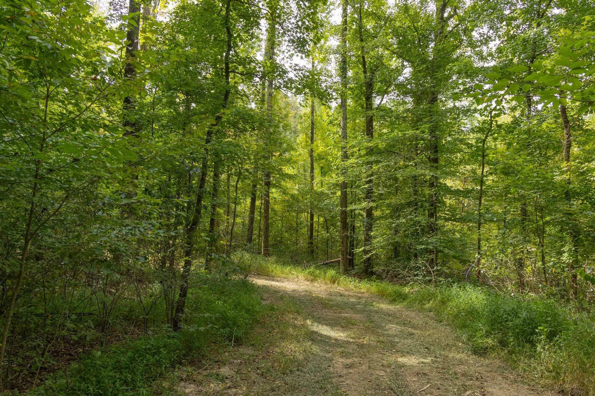 Big White Oak Tract 116 in Perry County, TN