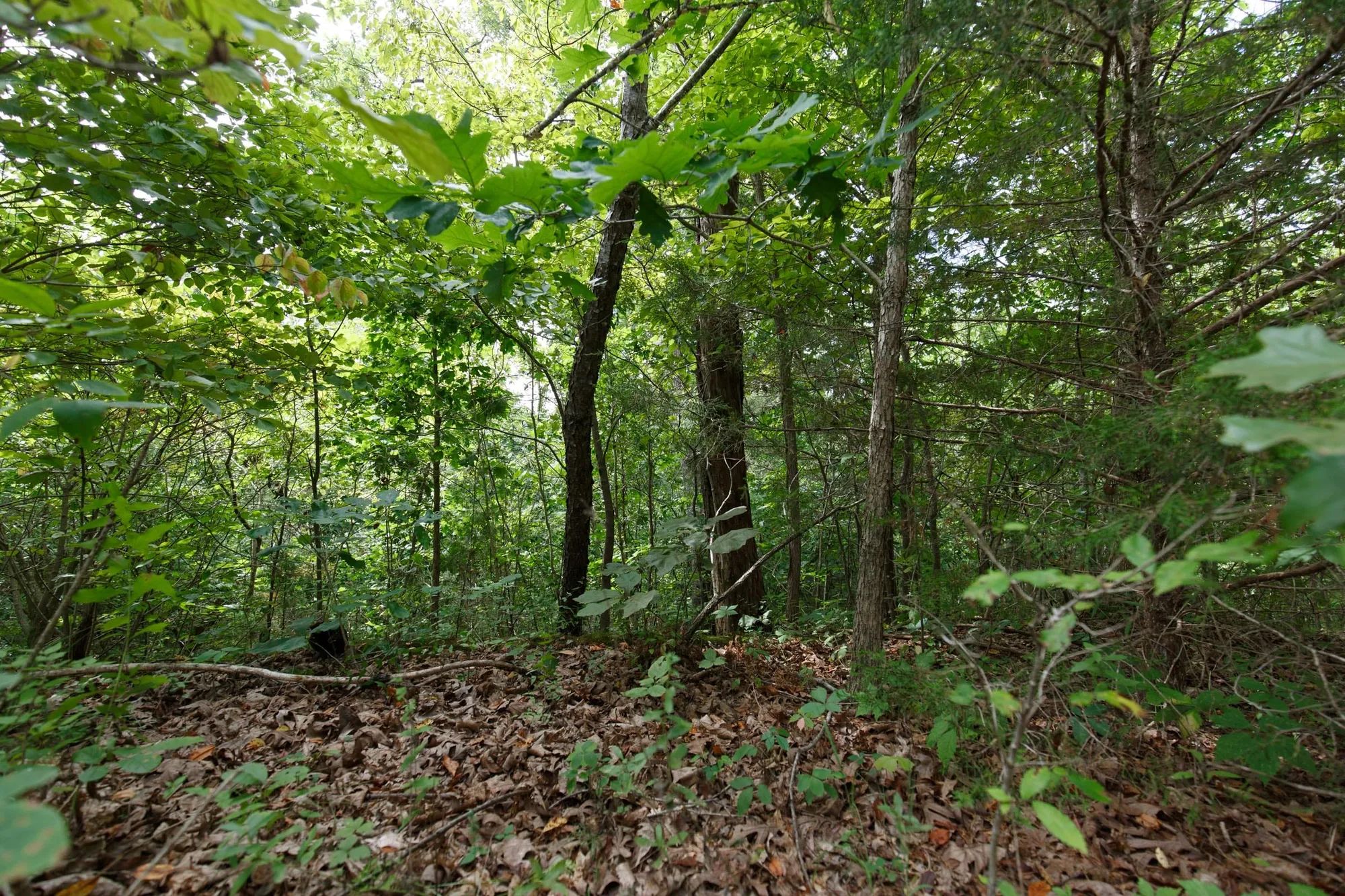 Spring Lake Plat 5 Tract 341 in Miller County, MO