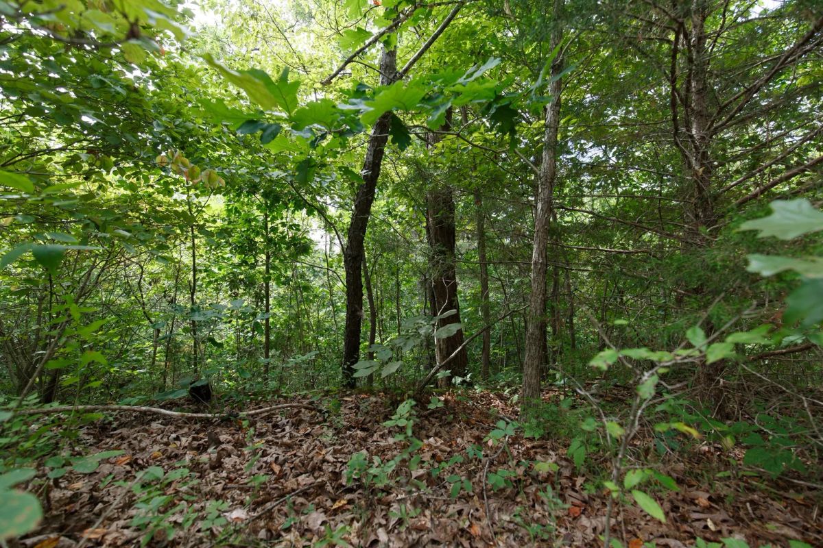 Spring Lake Plat 5 Tract 341 - Main image
