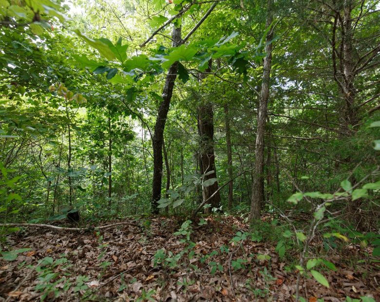 Spring Lake Plat 5 Tract 341 in Miller County, MO
