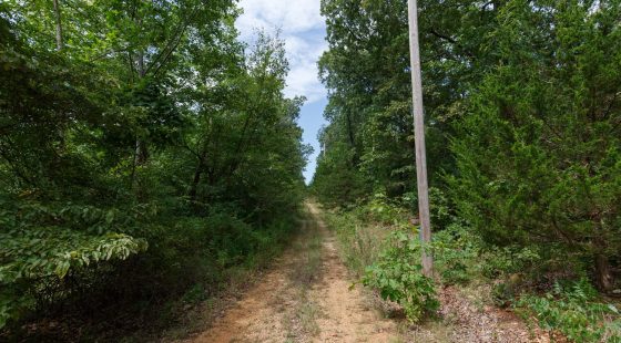 Spring Lake Plat 5 Tract 341 in Miller County, MO