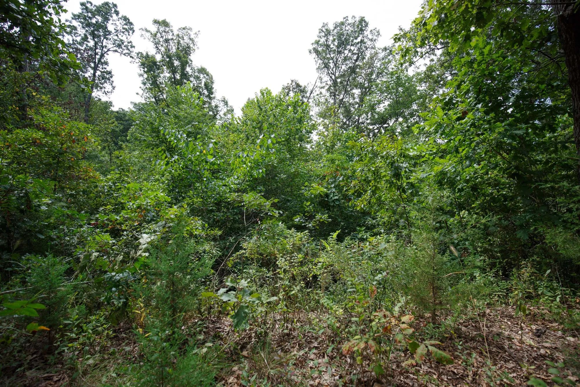 Spring Lake Plat 5 Tract 341 in Miller County, MO