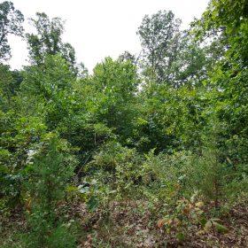 Spring Lake Plat 5 Tract 341 in Miller County, MO