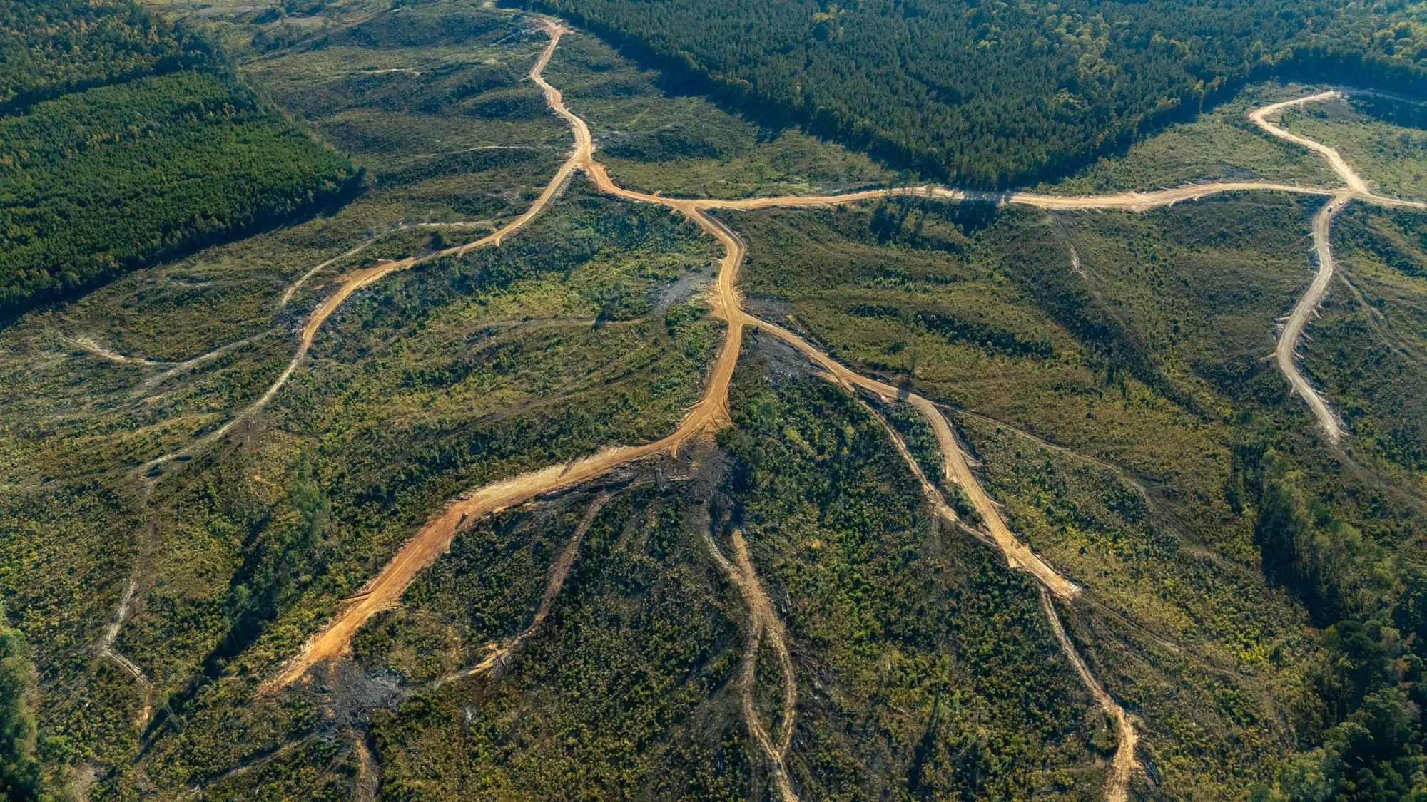 Meyer’s Ridge Tract 20 in Attala County, MS
