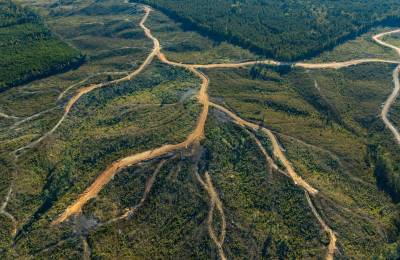 Meyer’s Ridge Tract 20