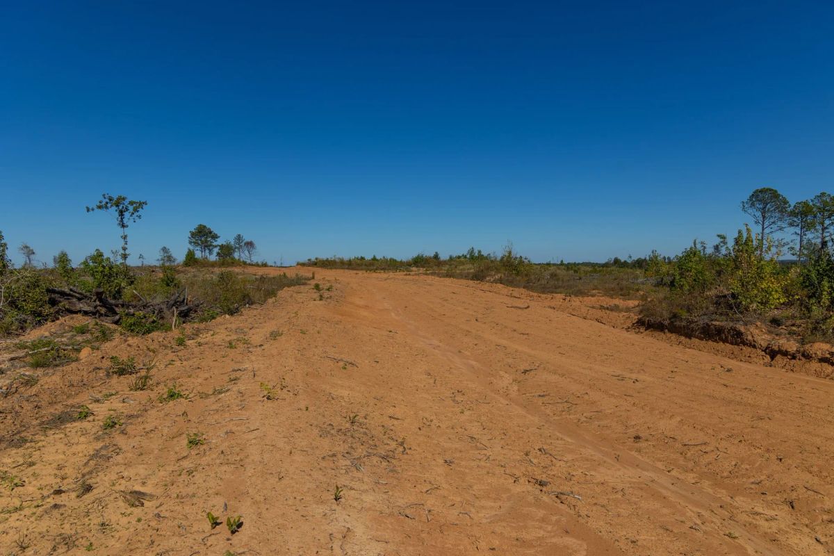Meyer’s Ridge Tract 20 - Image 2