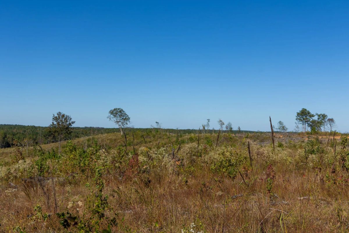 Meyer’s Ridge Tract 20 - Image 4