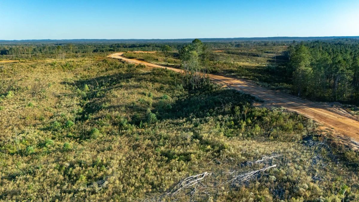 Decorative background for Meyer’s Ridge Tract 20 image 5