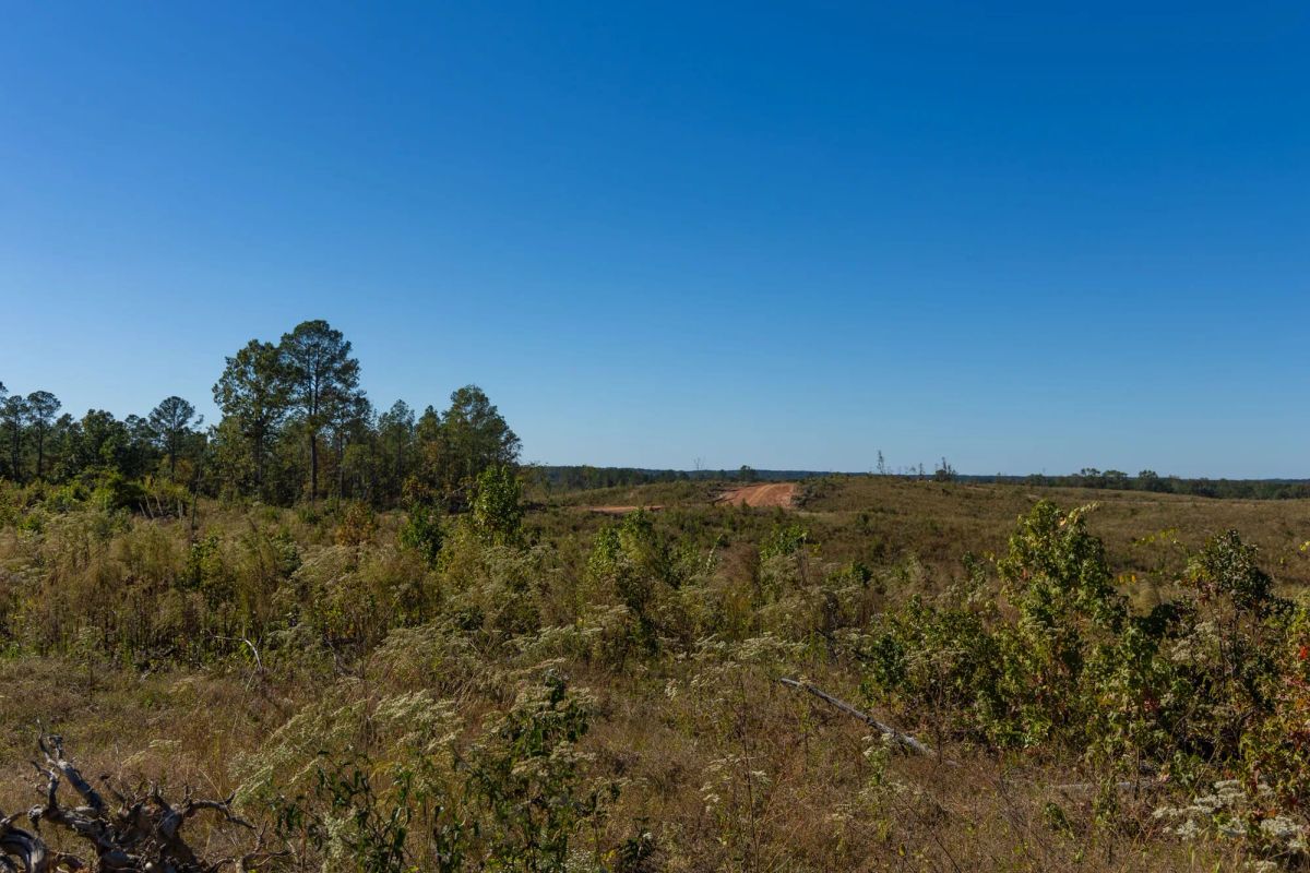 Decorative background for Meyer’s Ridge Tract 20 image 6