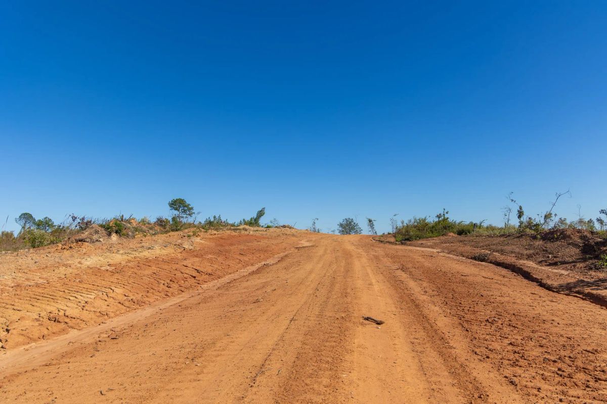 Decorative background for Meyer’s Ridge Tract 20 image 8