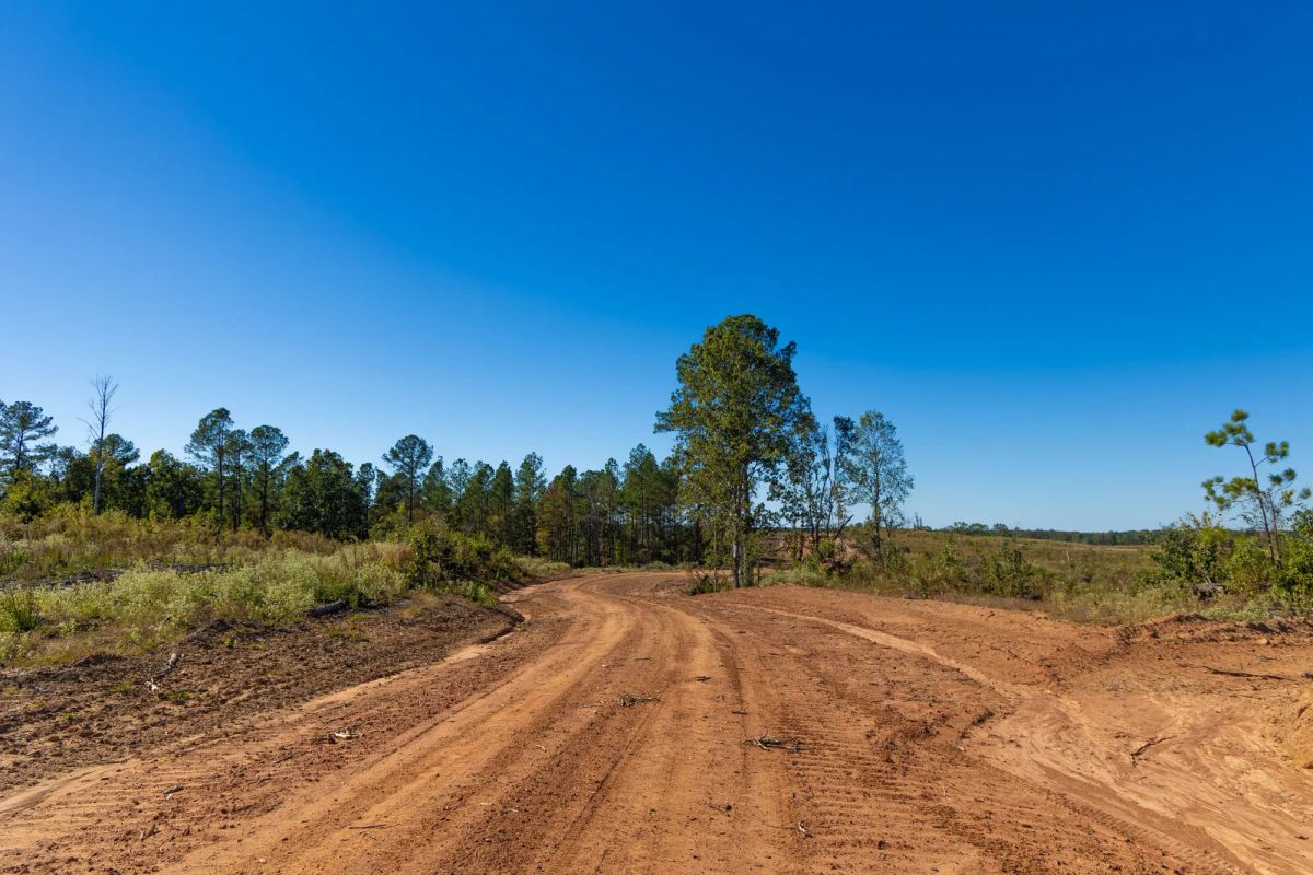 Decorative background for Meyer’s Ridge Tract 20 image 13