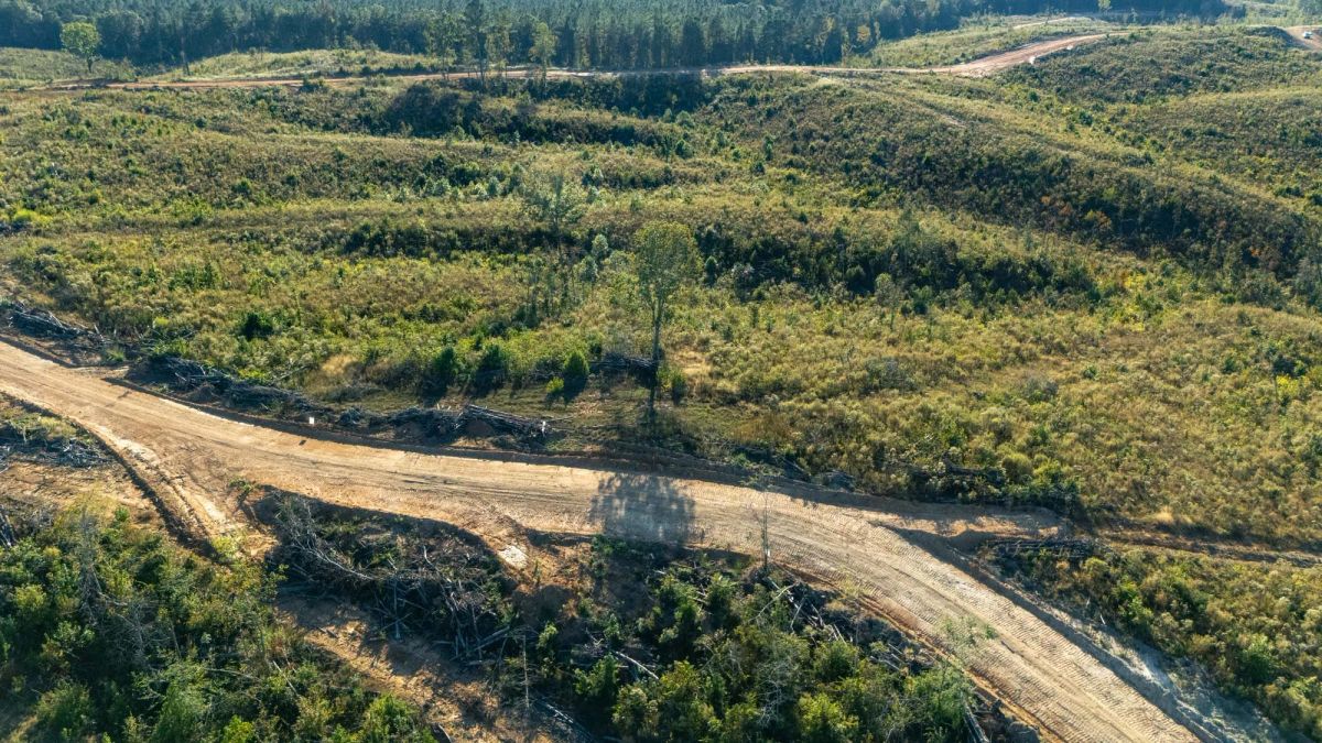 Decorative background for Meyer’s Ridge Tract 20 image 15