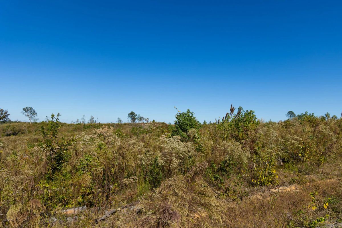 Decorative background for Meyer’s Ridge Tract 20 image 16