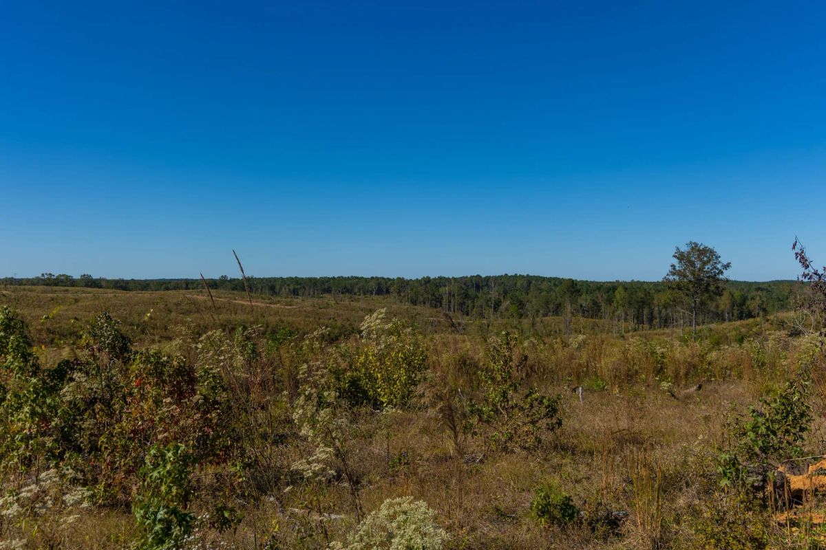 Decorative background for Meyer’s Ridge Tract 20 image 17