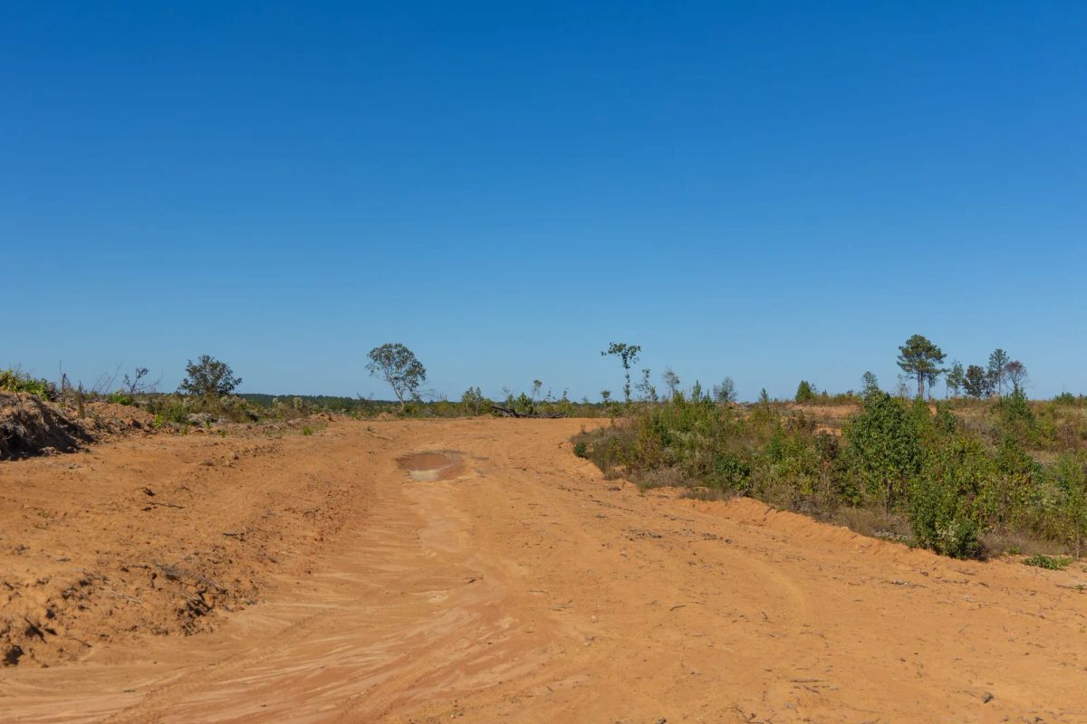 Decorative background for Meyer’s Ridge Tract 20 image 18