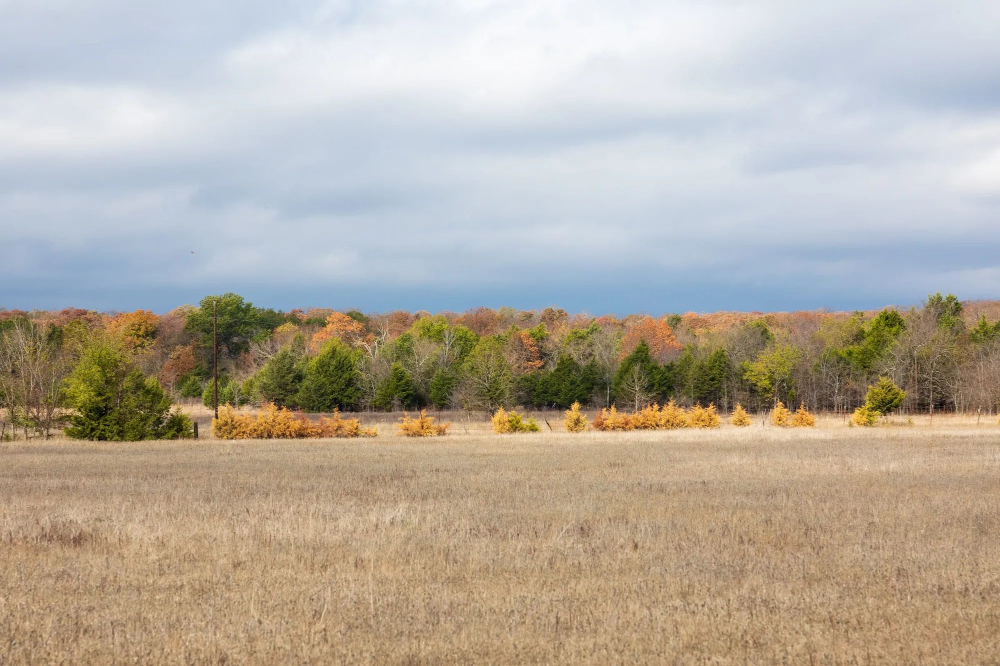Crystal Springs Tract 5 in McIntosh County, OK