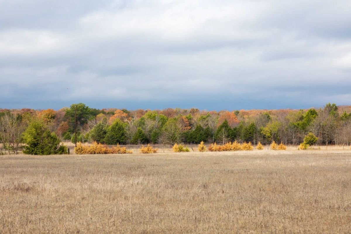 Crystal Springs Tract 5 - Image 2