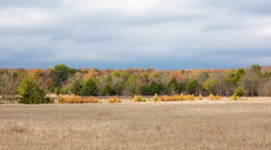 Crystal Springs Tract 5 in McIntosh County, OK
