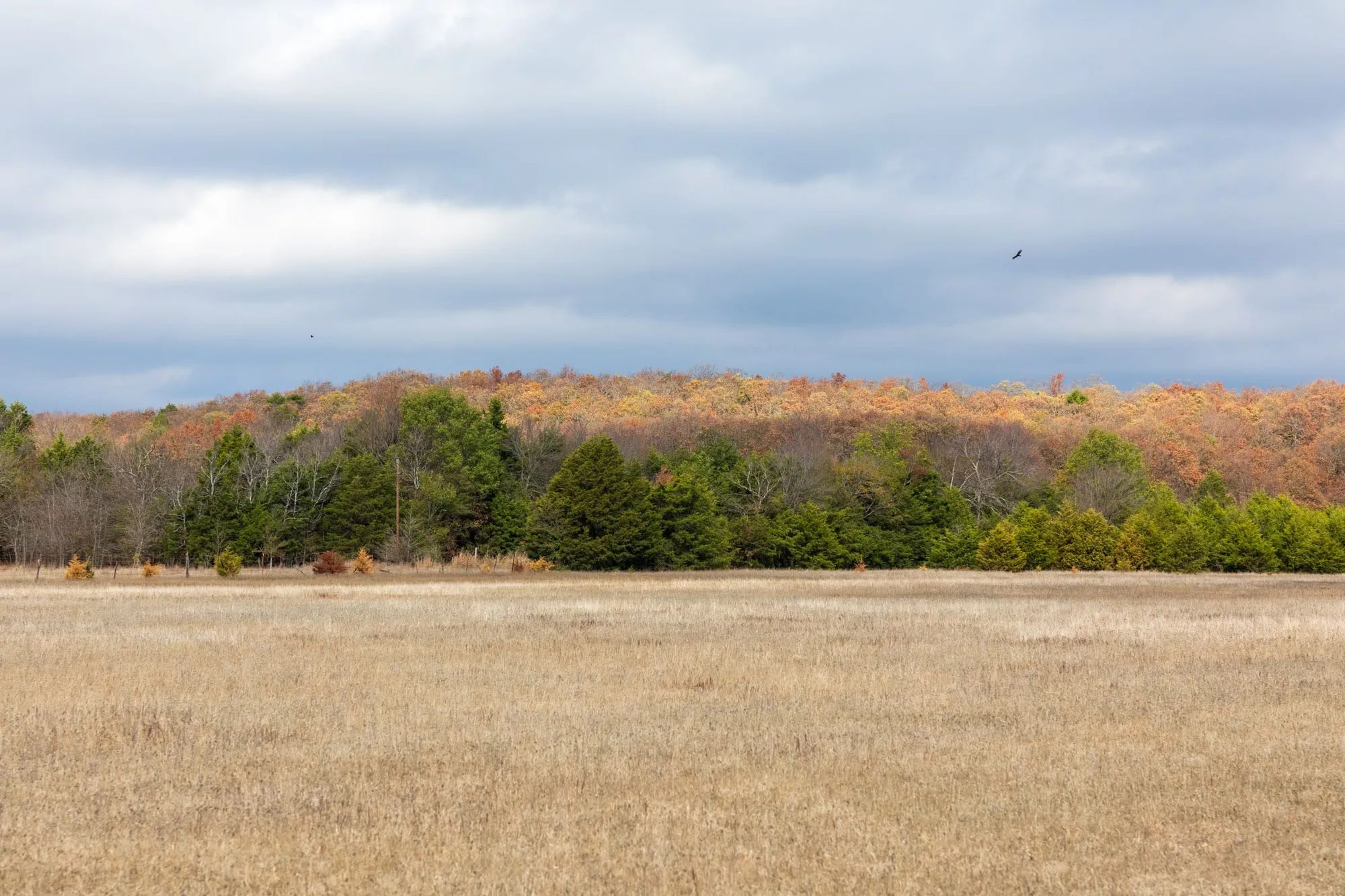 Crystal Springs Tract 5 in McIntosh County, OK