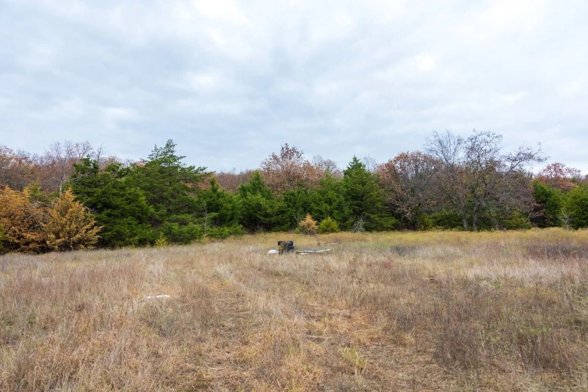 Decorative background for Crystal Springs Tract 5 image 5