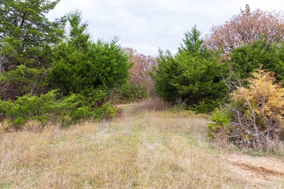 Decorative background for Crystal Springs Tract 5 image 6