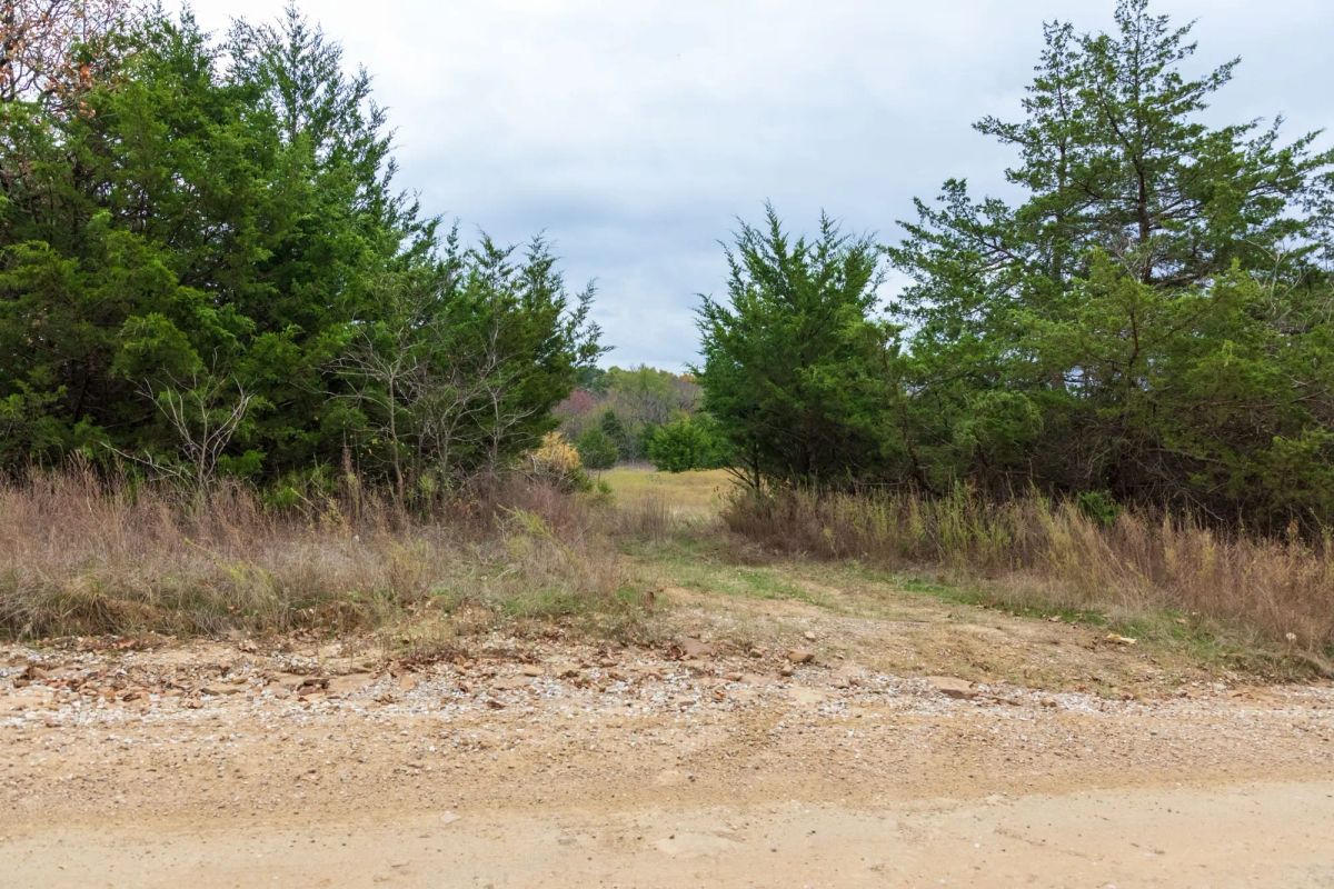 Decorative background for Crystal Springs Tract 5 image 7