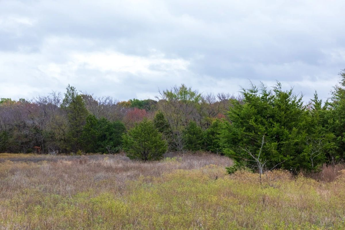Decorative background for Crystal Springs Tract 5 image 9