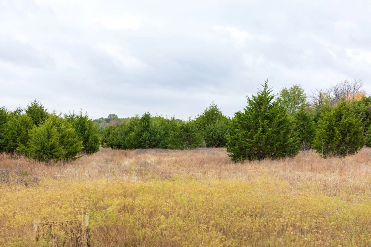 Decorative background for Crystal Springs Tract 5 image 10