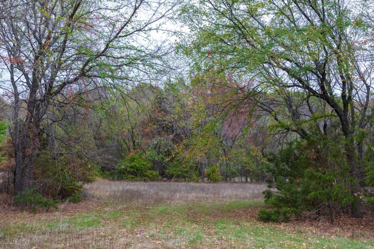 Decorative background for Crystal Springs Tract 5 image 13