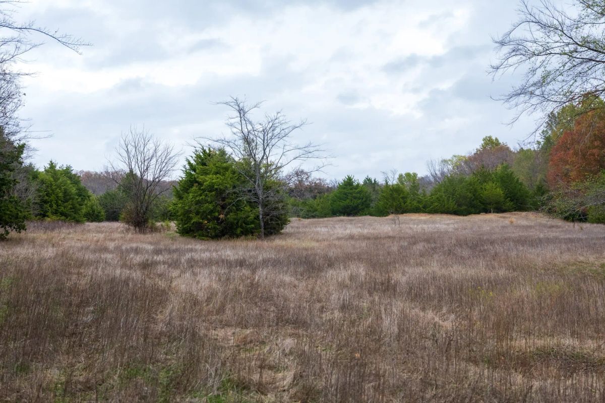 Decorative background for Crystal Springs Tract 5 image 15