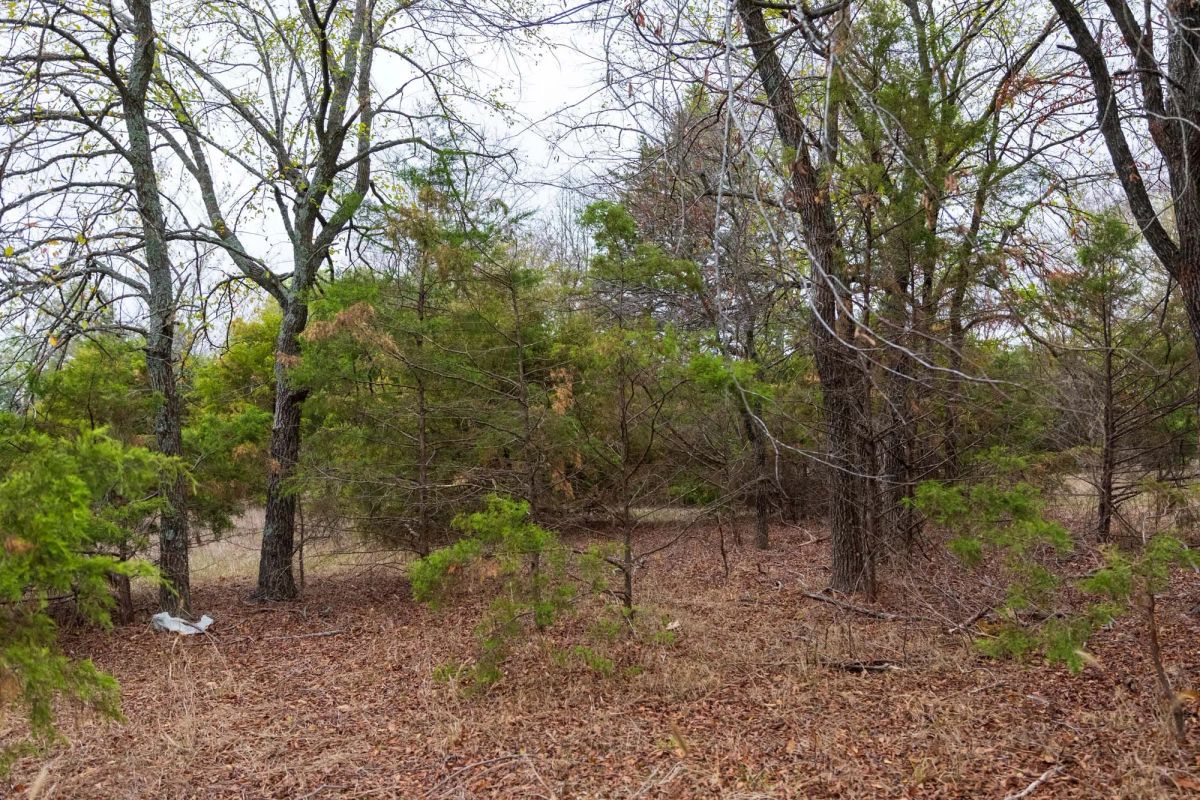 Decorative background for Crystal Springs Tract 5 image 18