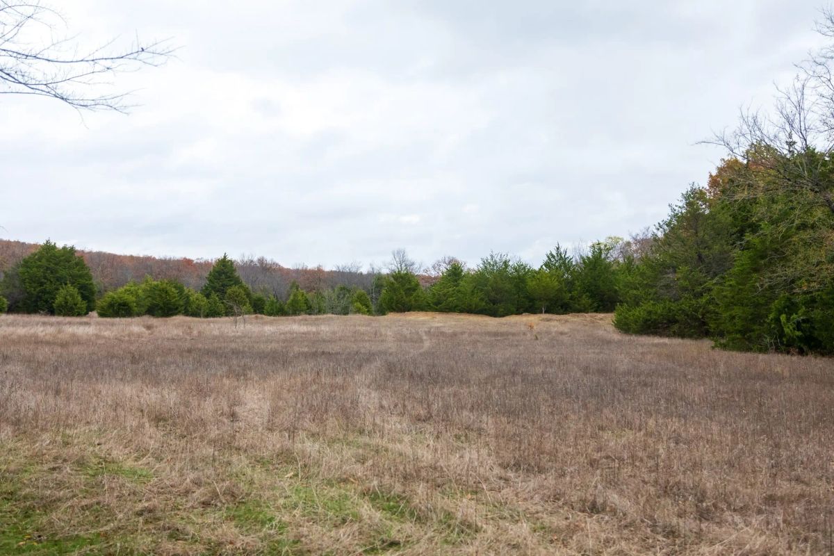 Decorative background for Crystal Springs Tract 5 image 19