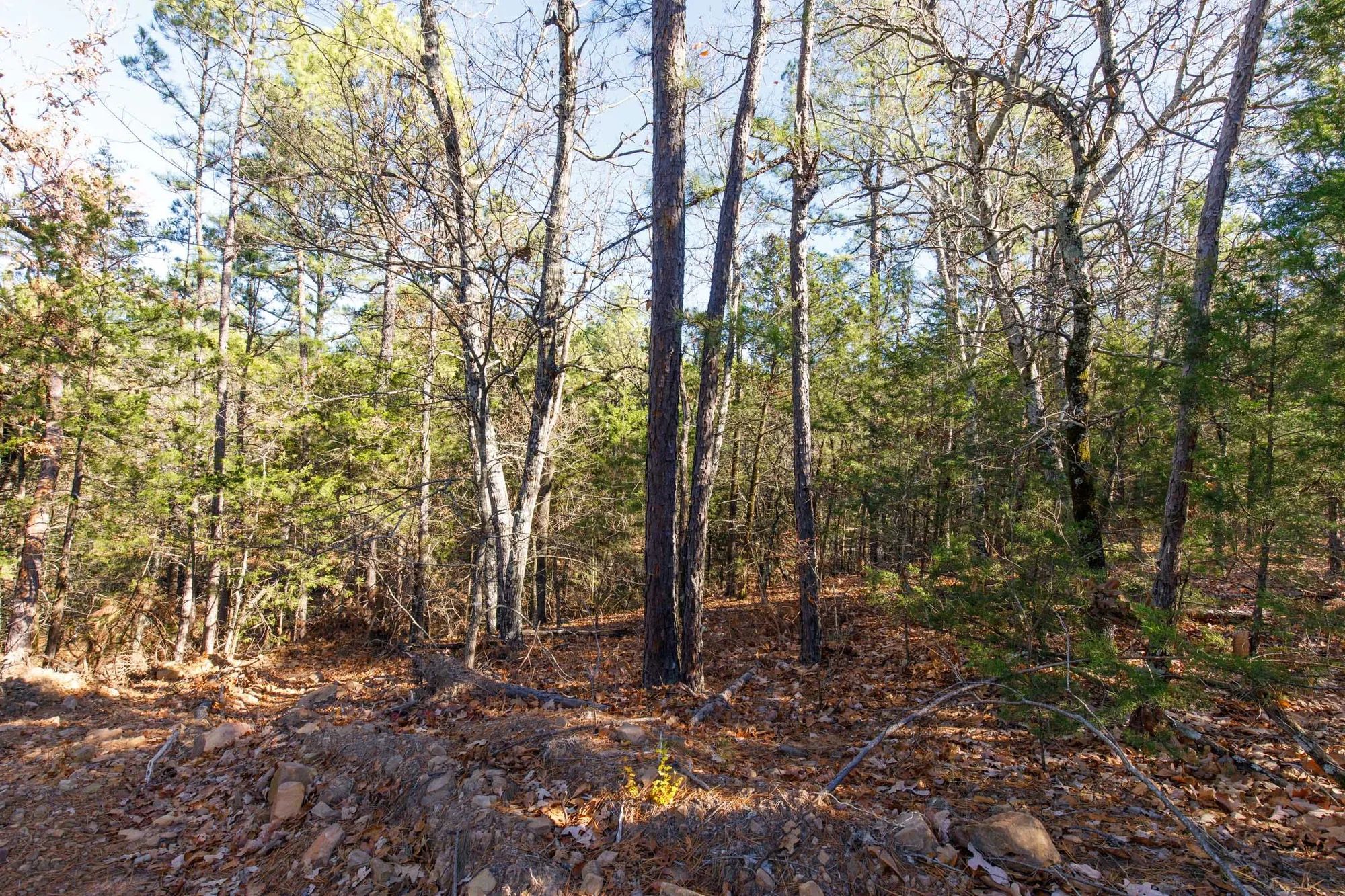 Stone Bridge Phase II Tract 123 in Latimer County, OK