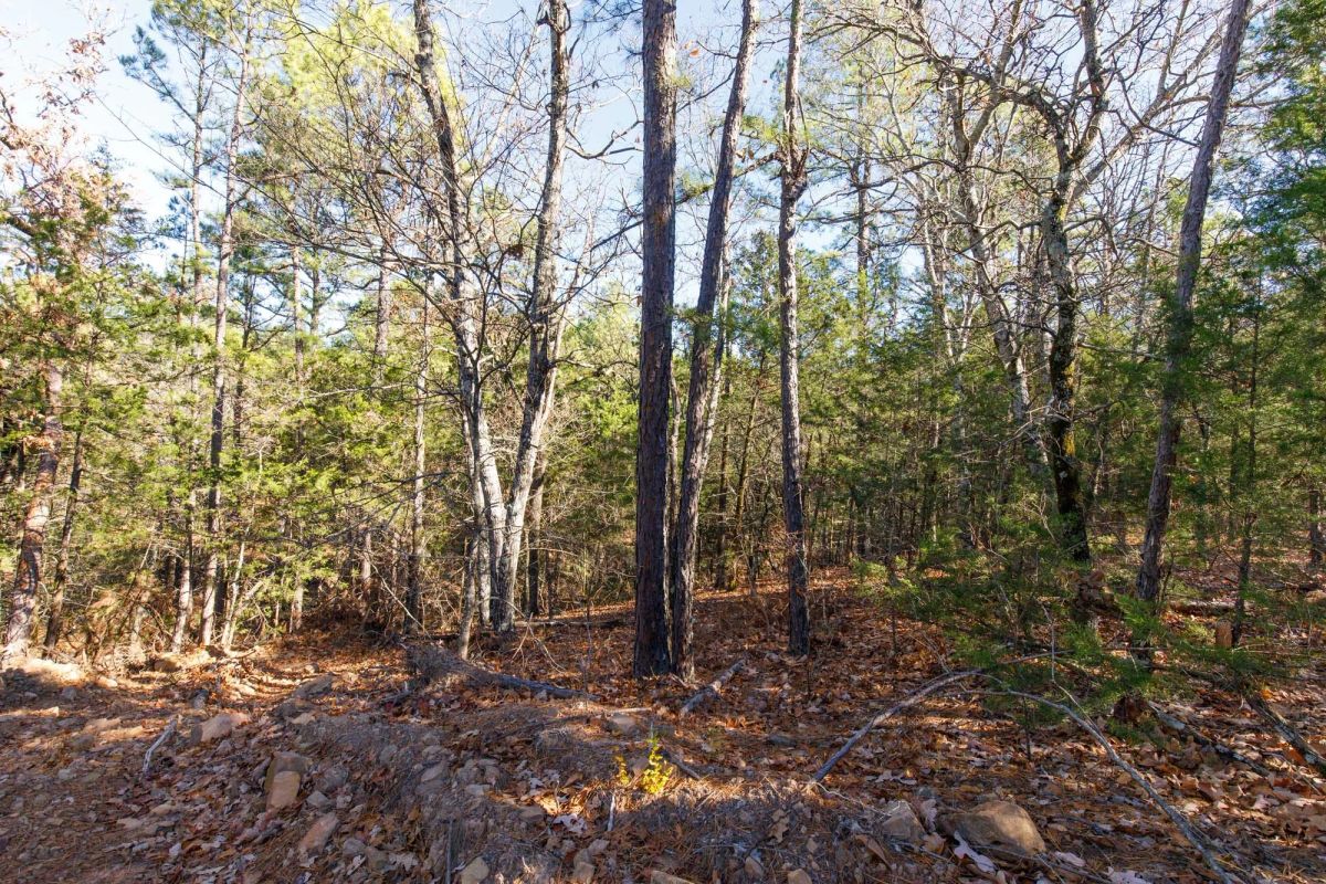 Stone Bridge Phase II Tract 123 - Image 3