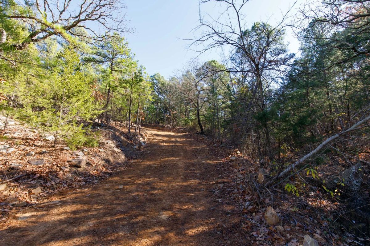 Decorative background for Stone Bridge Phase II Tract 123 image 5