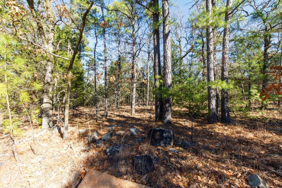 Decorative background for Stone Bridge Phase II Tract 123 image 7