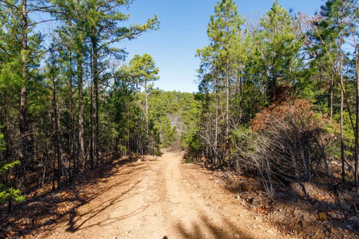 Decorative background for Stone Bridge Phase II Tract 123 image 8