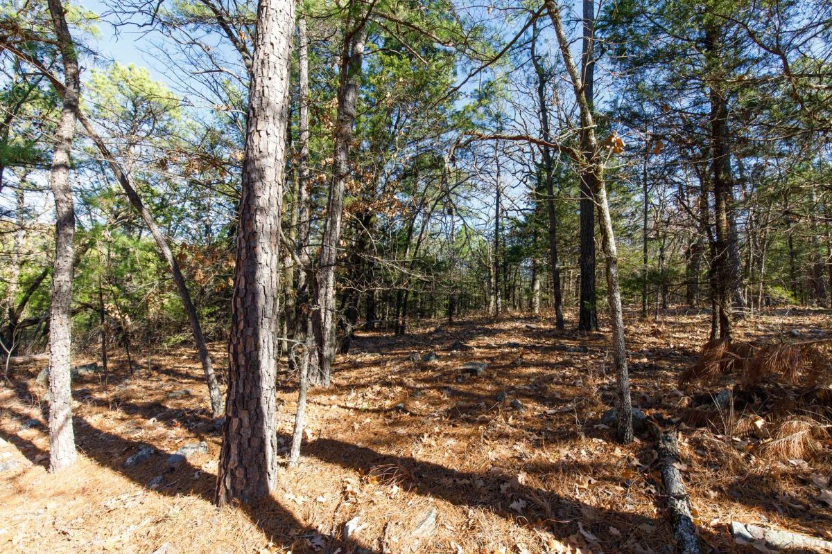 Decorative background for Stone Bridge Phase II Tract 123 image 9