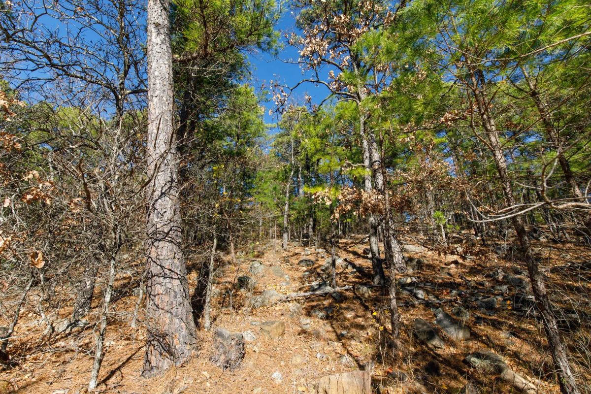 Decorative background for Stone Bridge Phase II Tract 123 image 11