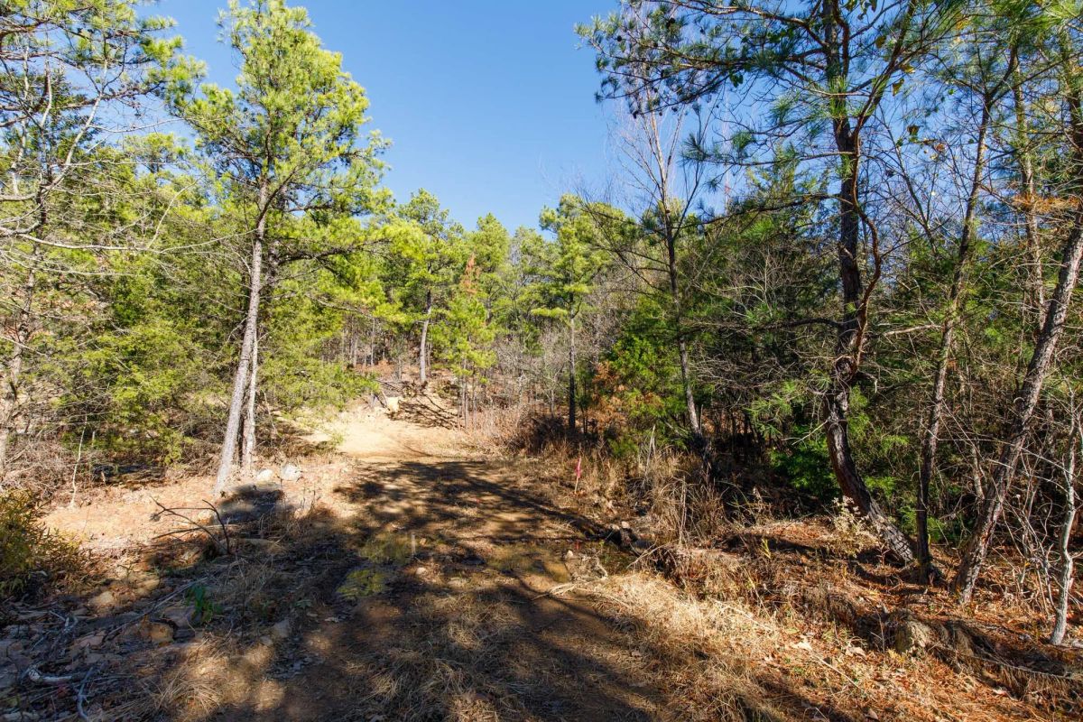 Decorative background for Stone Bridge Phase II Tract 123 image 12