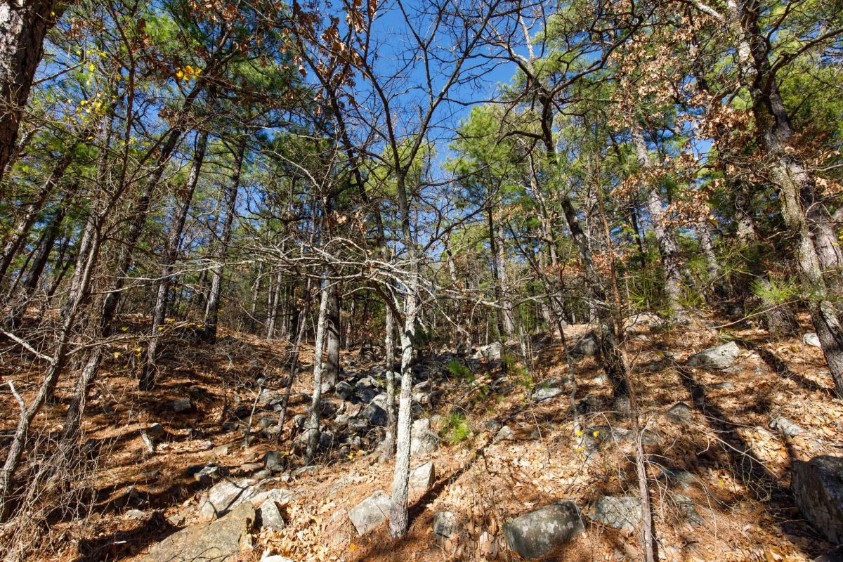 Decorative background for Stone Bridge Phase II Tract 123 image 13