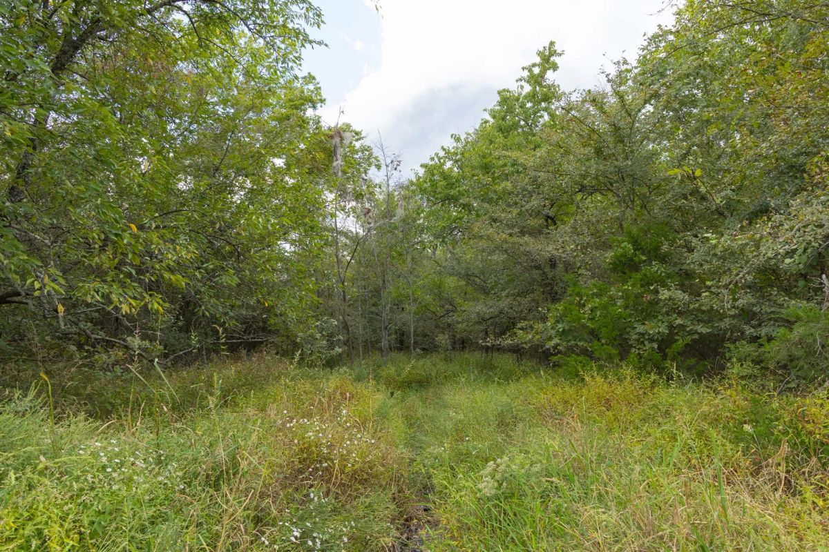 Reserves At Cattail Cove Phase II Tract 75 - Image 3