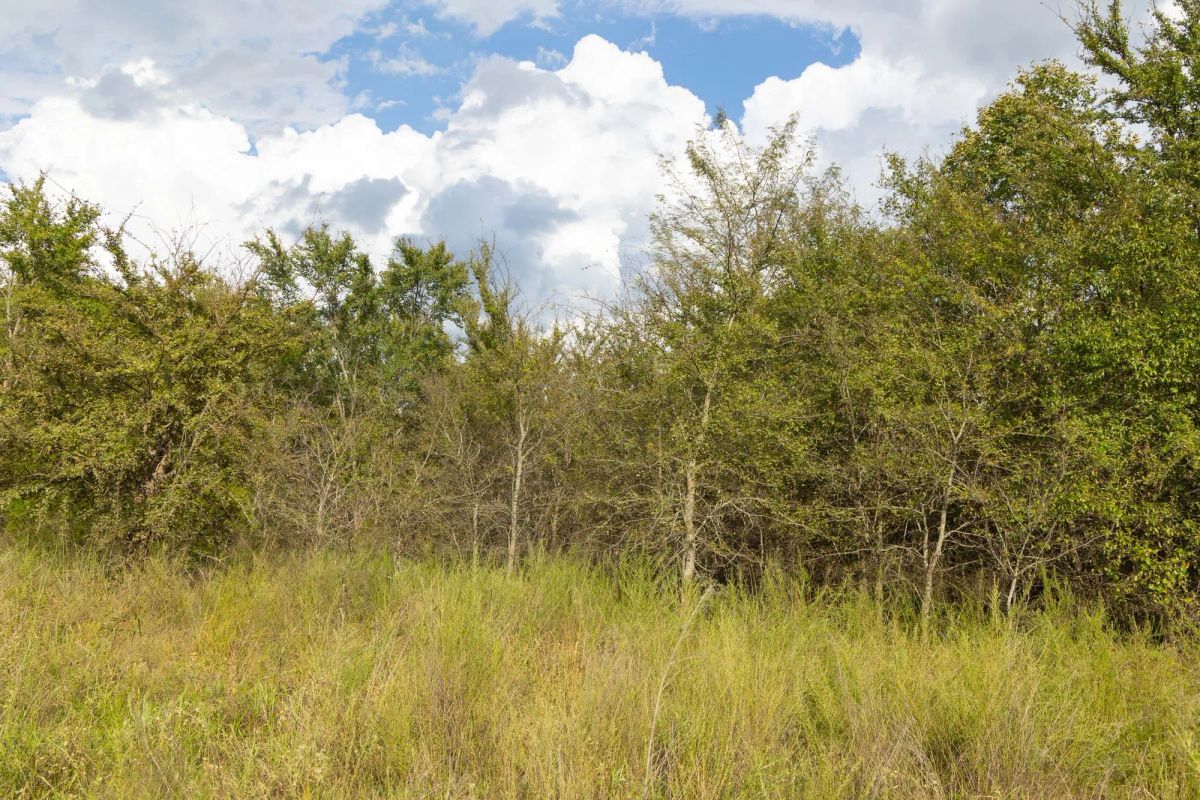 Decorative background for Reserves At Cattail Cove Phase II Tract 75 image 5