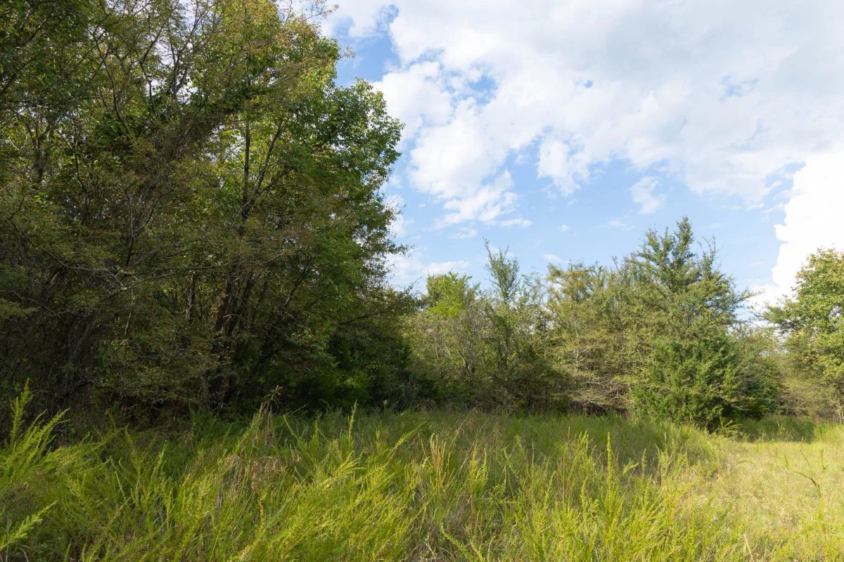 Decorative background for Reserves At Cattail Cove Phase II Tract 75 image 6