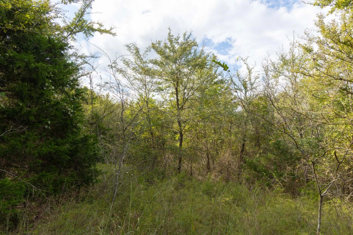 Decorative background for Reserves At Cattail Cove Phase II Tract 75 image 7