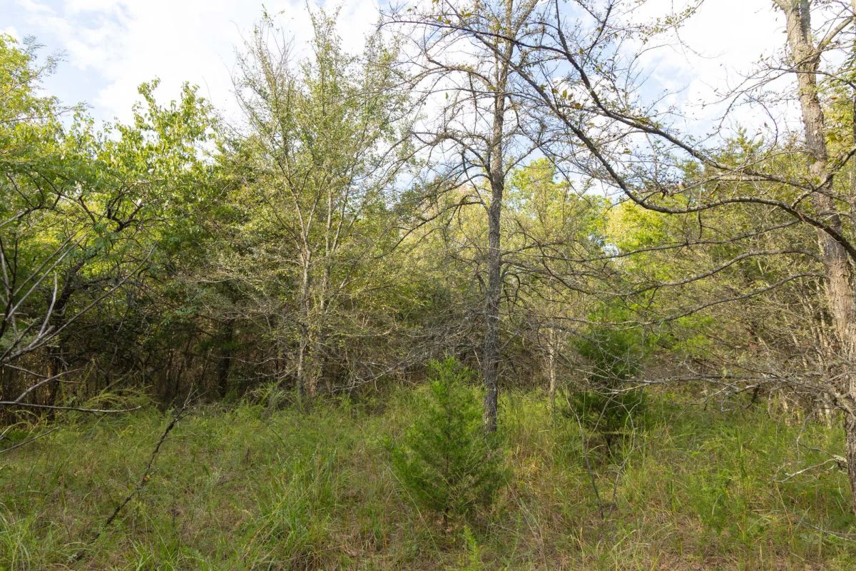 Decorative background for Reserves At Cattail Cove Phase II Tract 75 image 8